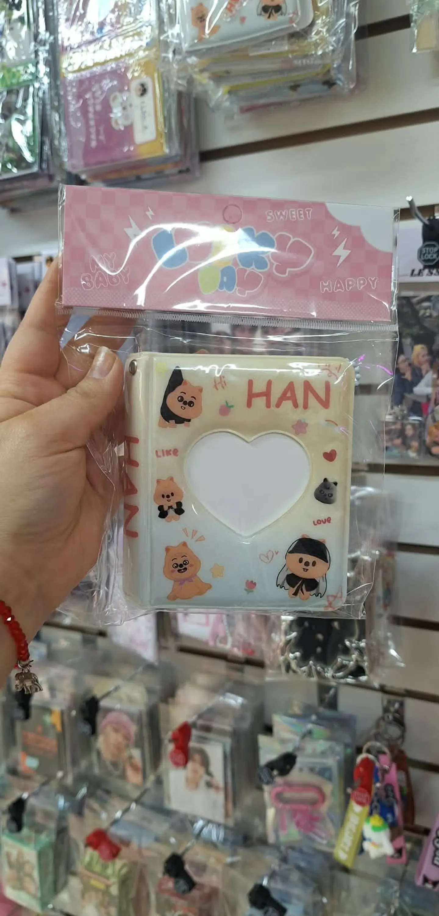 Binder Han Stray Kids (38 pcs) 1