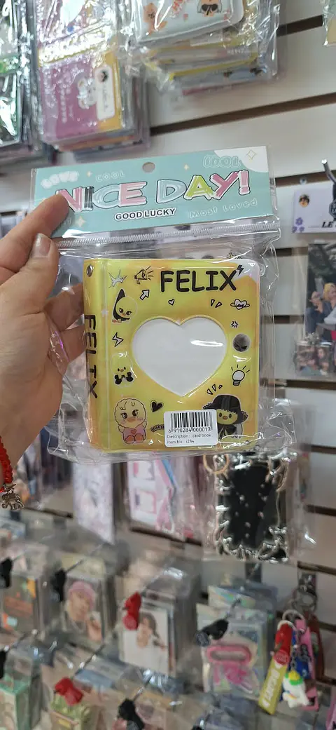 Binder Felix Stray Kids (38 pcs)