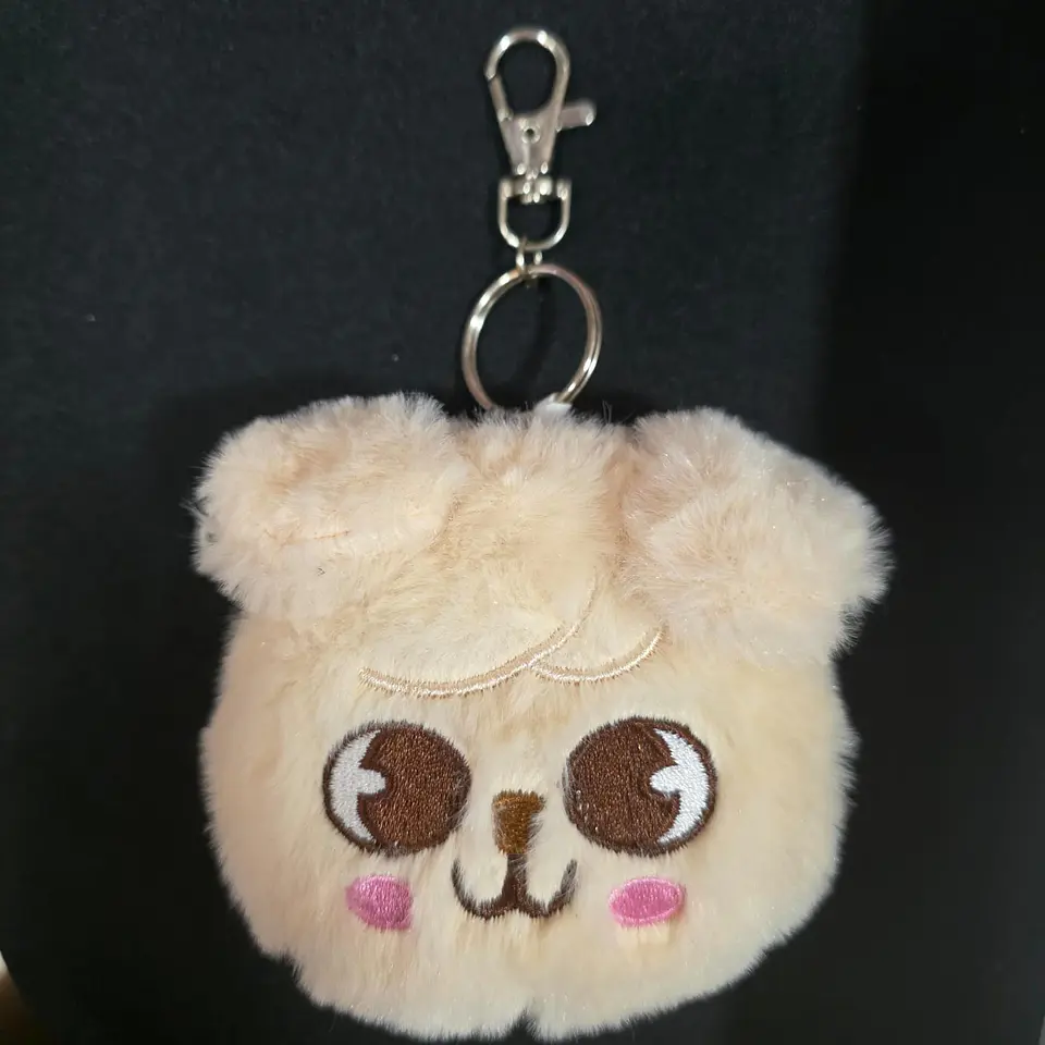 MONEDERO STRAY KIDS 1