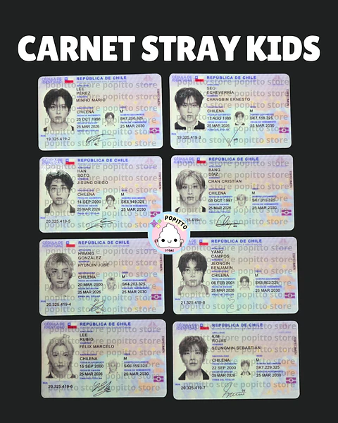 CARNET STRAY KIDS