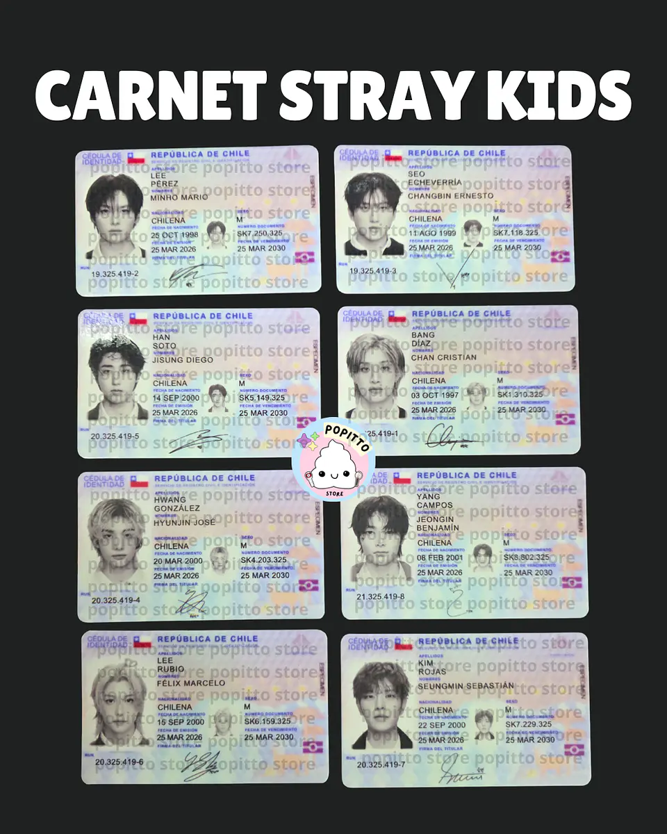 CARNET STRAY KIDS 1