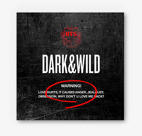 BTS - DARK & WILD