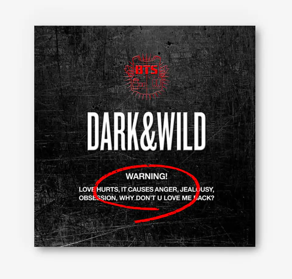 BTS - DARK & WILD 1