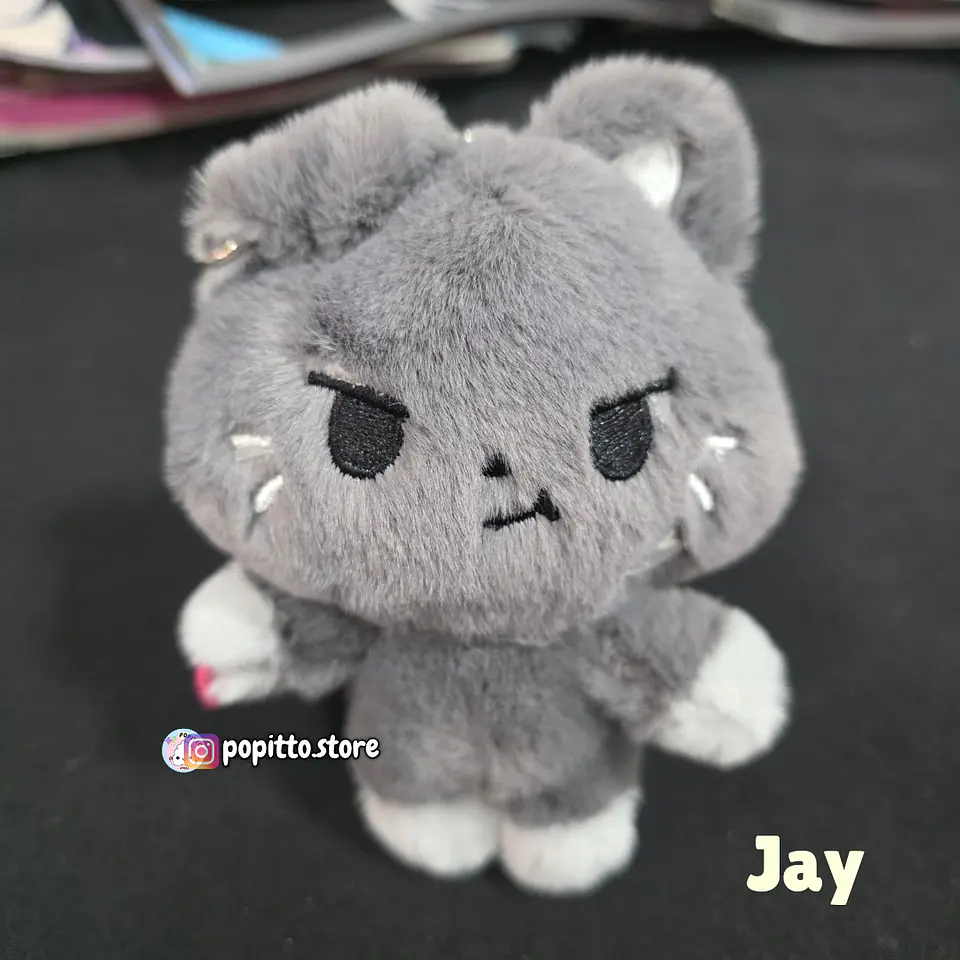 ENHYPEN ENCHIN PELUCHE 3