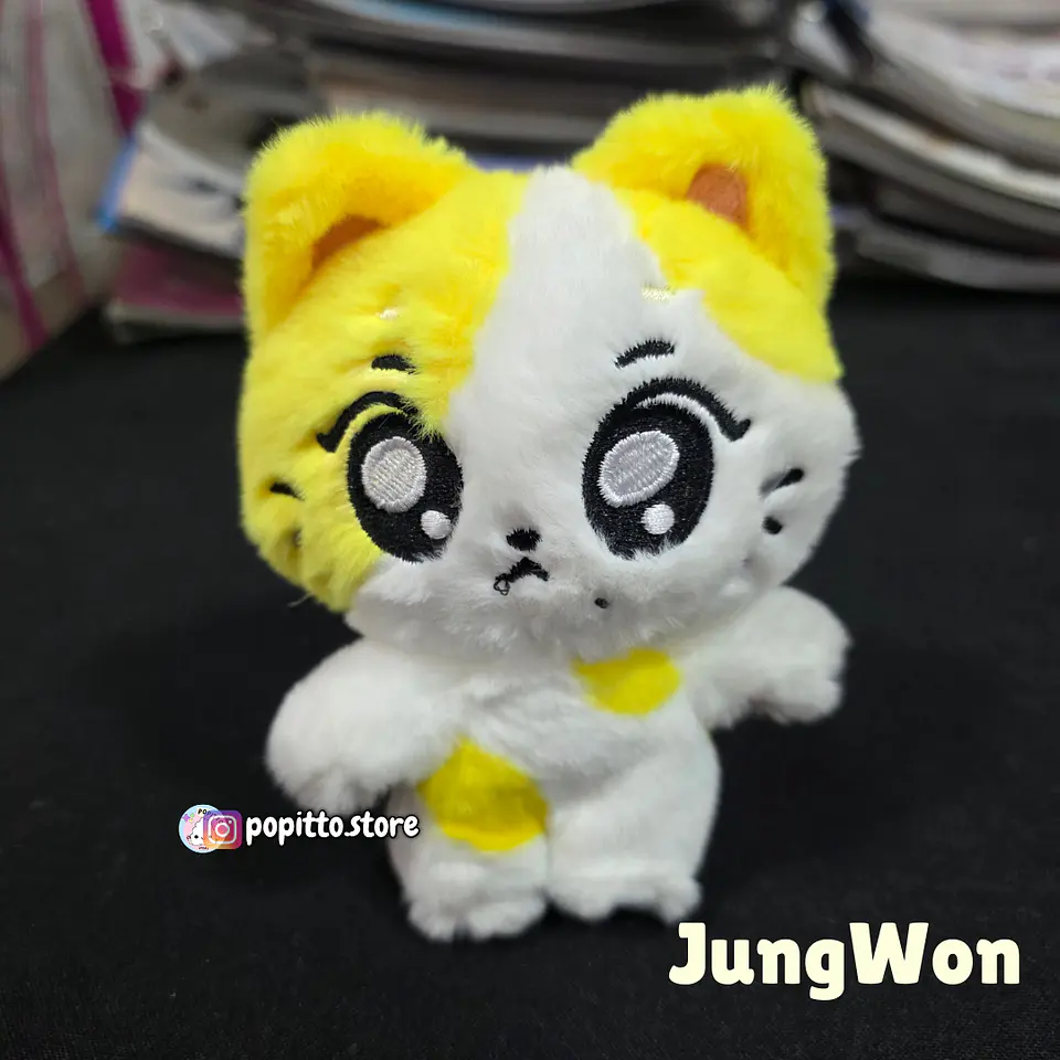 ENHYPEN ENCHIN PELUCHE 5