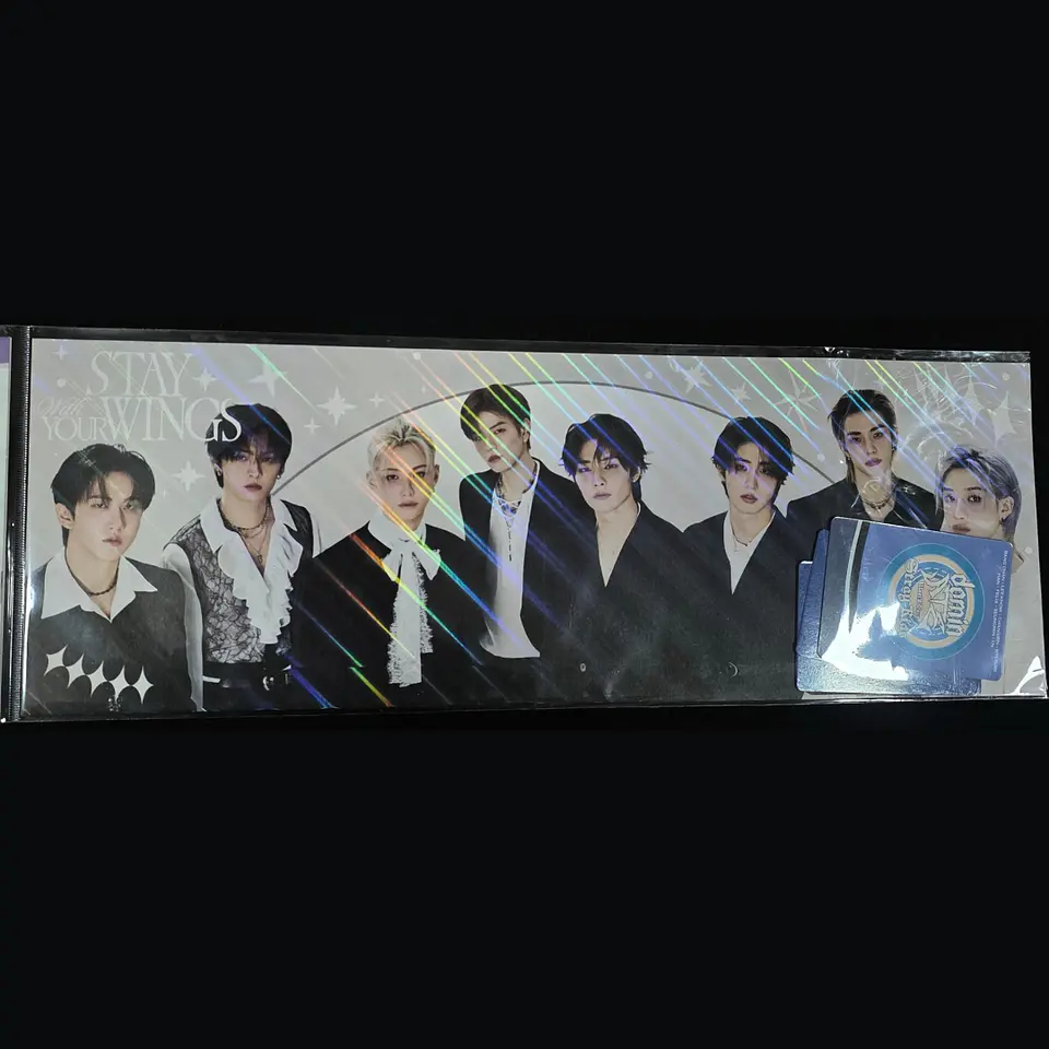 BANNER + 4 PHOTOCARDS - STRAY KIDS 2