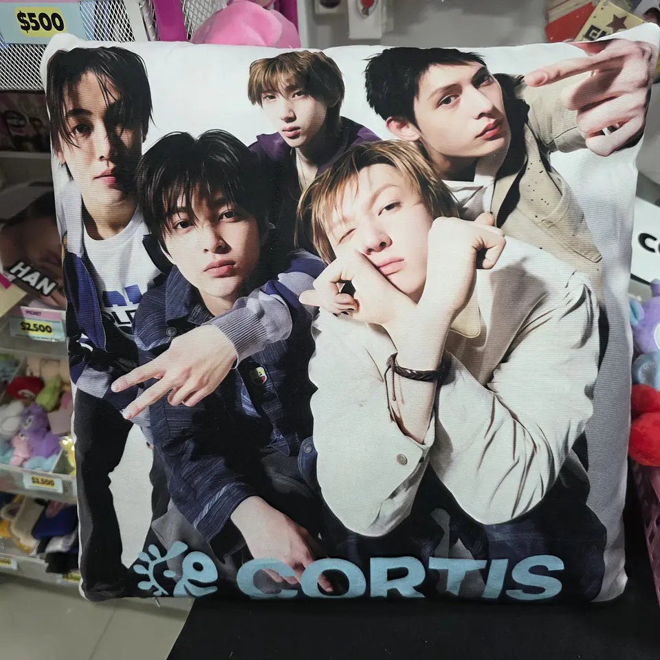 COJÍN GRANDE - CORTIS 2