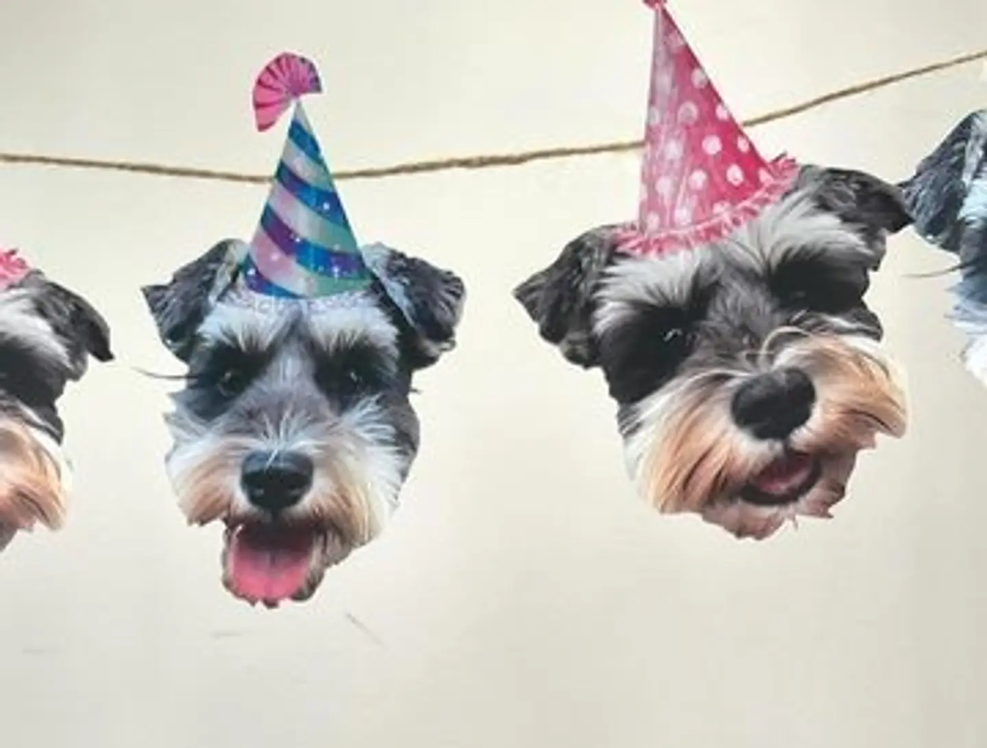 BANDERIN PERSONALIZADO CUMPLEAÑOS  3