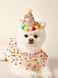  Set de 2 piezas Pañuelo y gorro de cumpleaños para mascotas perros y gatos - Miniatura 1