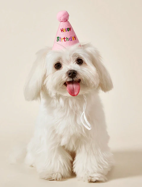 Sombrero ajustable de fiesta de cumpleaños para mascotas 