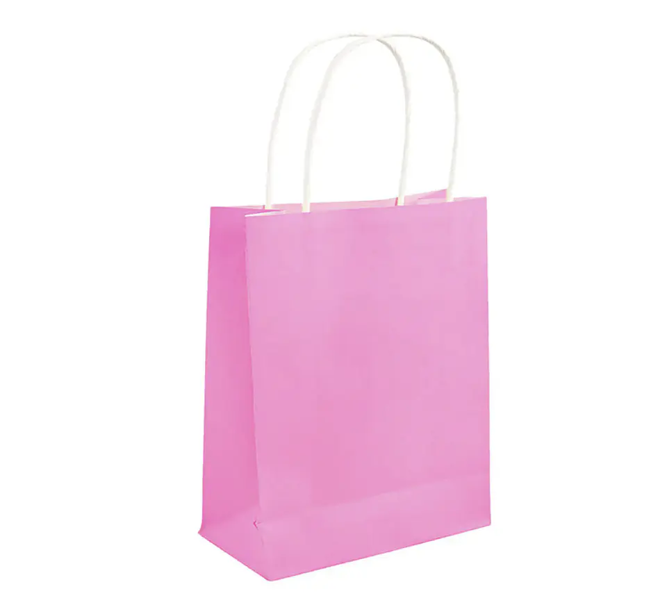 Bolsa de Regalo Rosada – Pack 12 Unidades 🎀 2