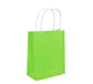 Bolsa de Regalo Verde– Pack 12 Unidades  - Miniatura 2