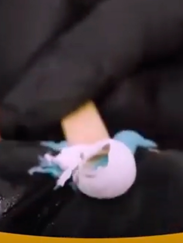 Masa adhesiva Epóxi Dryko Vedatudo 50 g 4