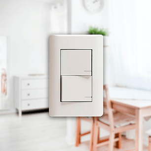 Interruptor Richi Completo 2 fichas teclón 10A /Blanco