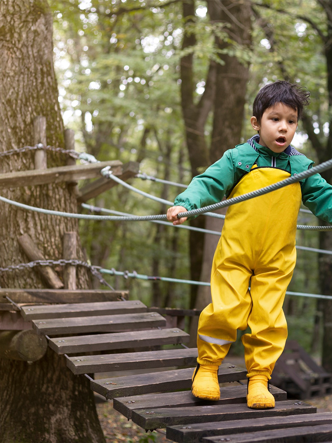 Liquitech Micromembrana protector para madera 500 ML 3