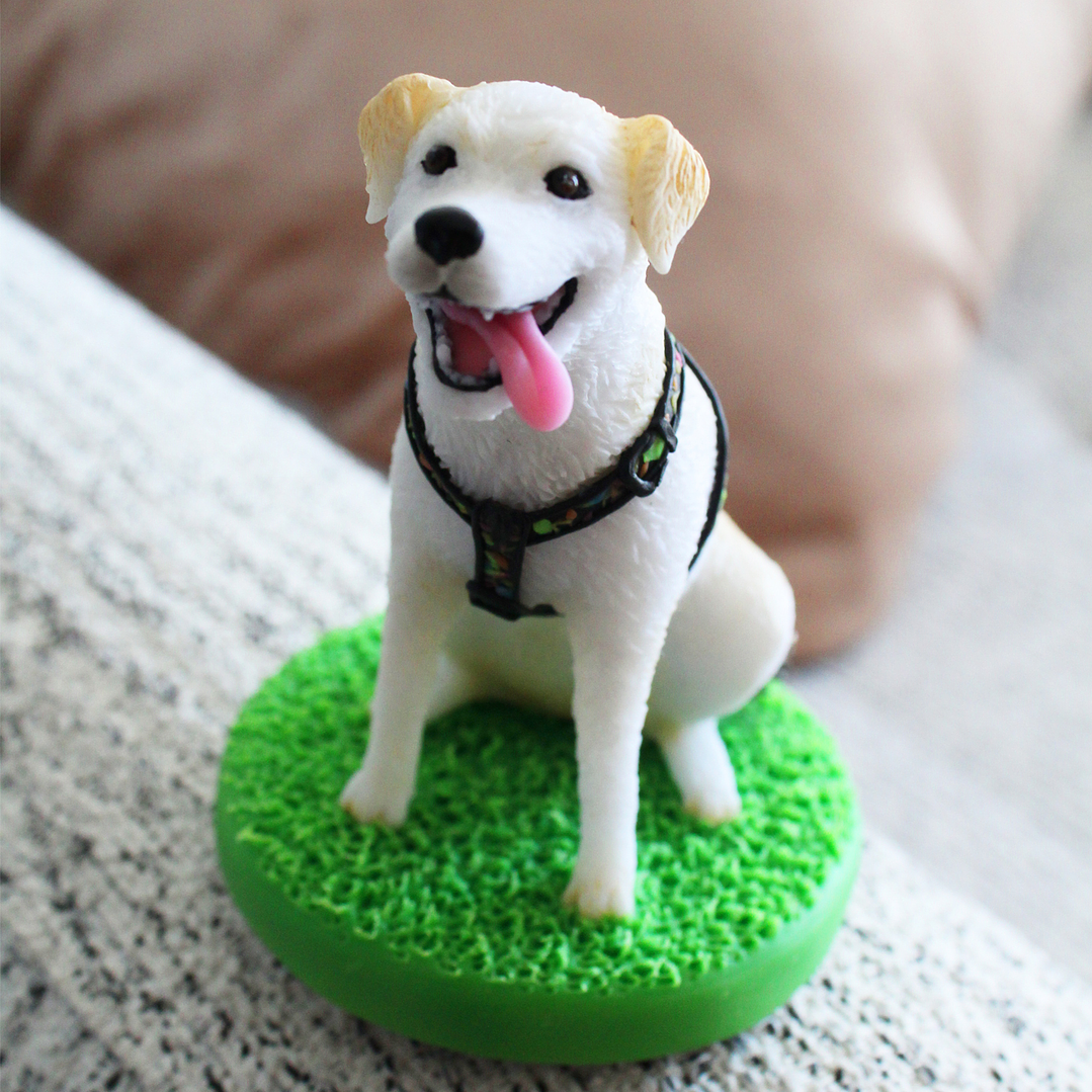 Mascotas Personalizadas 6