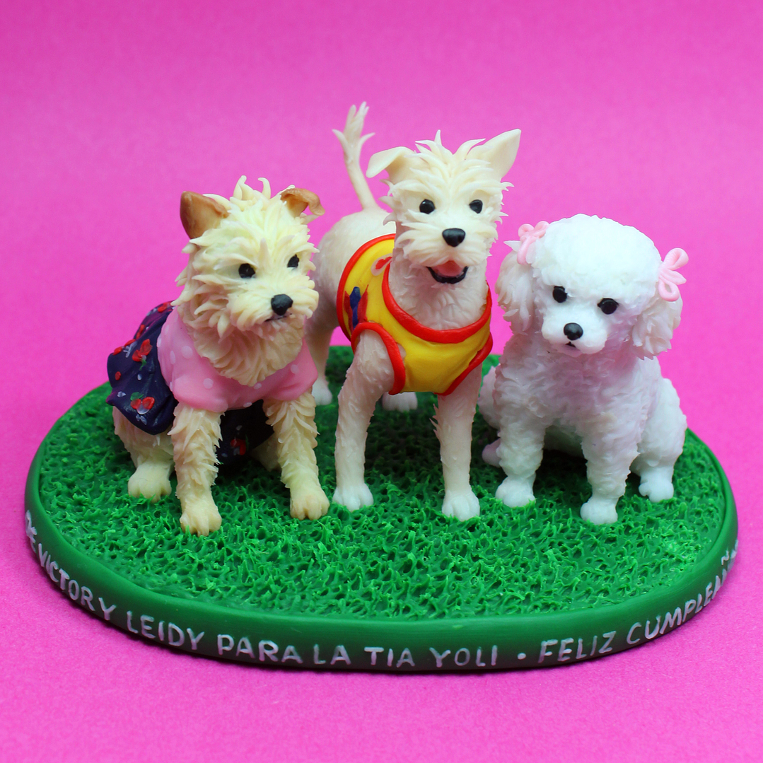 Mascotas Personalizadas 7