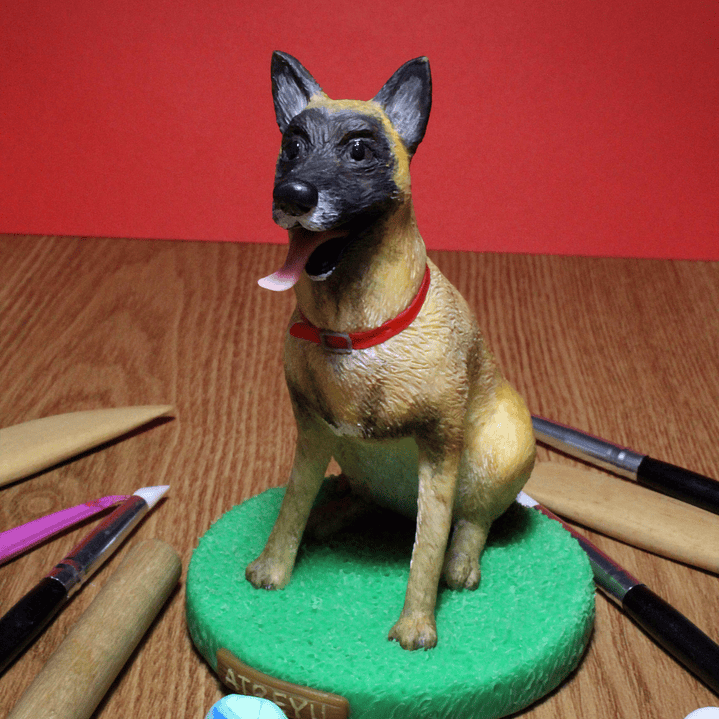 Mascotas Personalizadas 11