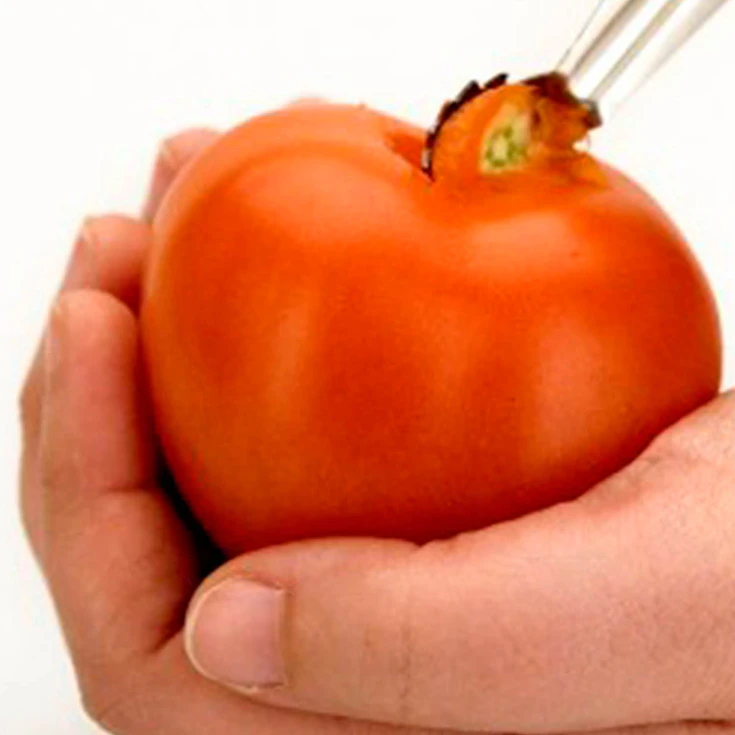 Descorazonador De Tomate (12 Pcs) Browne 2