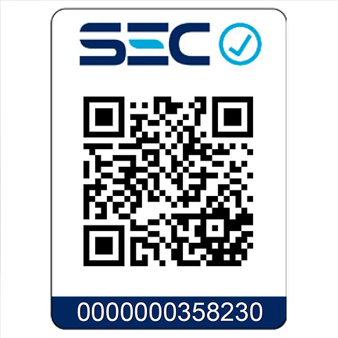 Horno para Pizza Electrico Pizza Oven EasyWays 6