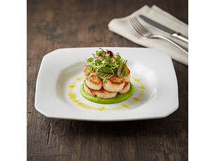 Schmidt Tetra Plato Hondo 27Cm