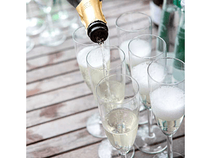 Vicrila Copa Merlot 150Ml Flauta (12 Pcs)