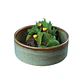 Bonna Coral Bowl Apilable 13 Cm - Miniatura 1