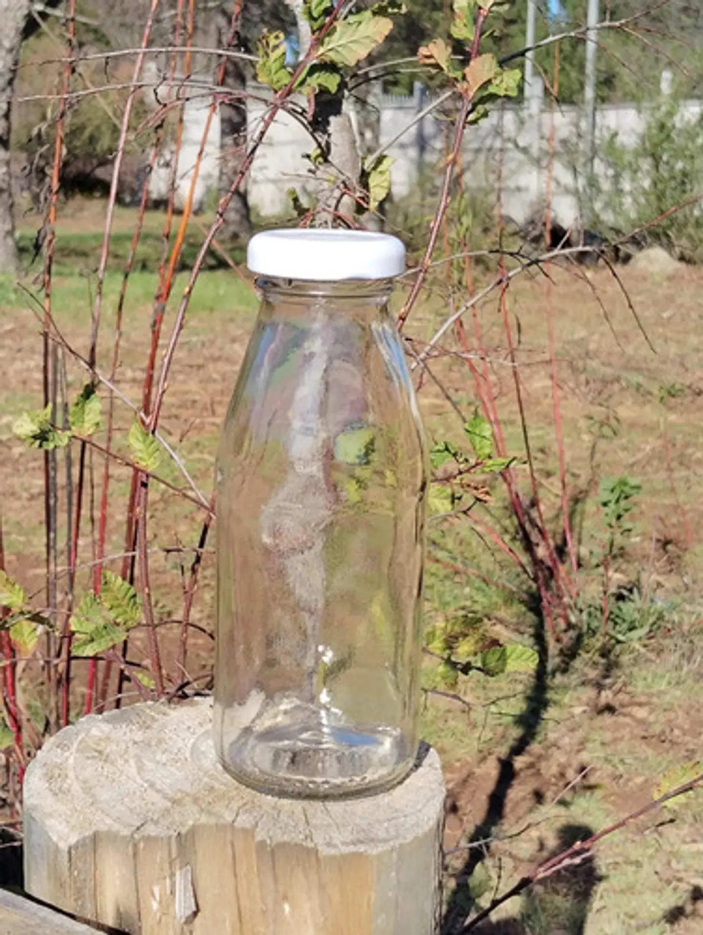 24 Botellas De Vidrio 250cc Con Tapas Portal Glass Ñuble 1
