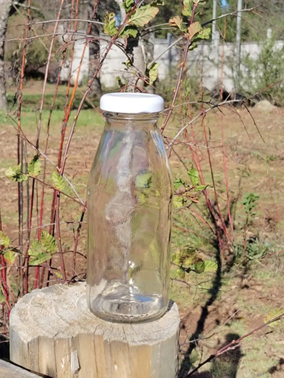 24 Botellas De Vidrio 250cc Con Tapas Portal Glass Ñuble 1