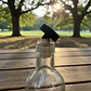 12 botellas gourmet de 250 ml con tapon dosificador - Miniatura 5