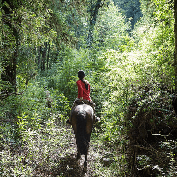 Cabalgata el Mañío - 14:00hrs. 3