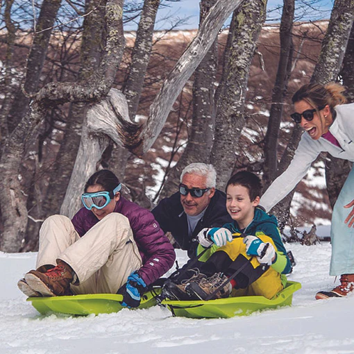 Tour Bosque Nevado