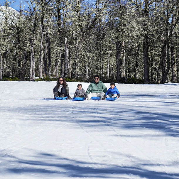 Tour Bosque Nevado 4