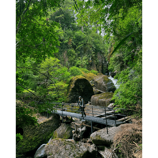 Acceso Portal Lagunas Andinas