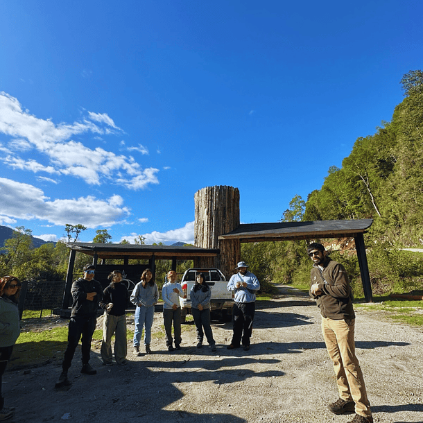 Acceso Portal Cua Cua  3