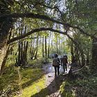 Acceso Portal Cua Cua  4