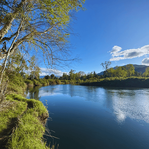 Acceso Portal Cua Cua 