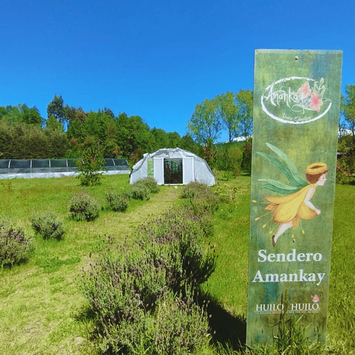 Acceso Portal Amankay