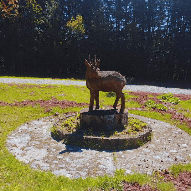 Acceso Portal Amankay 2