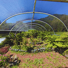 Acceso Portal Amankay 3