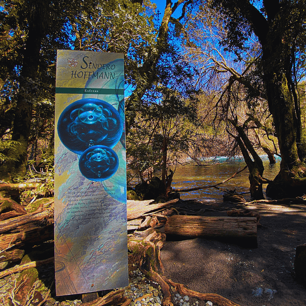 Acceso Portal la Leona 4