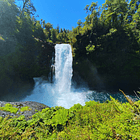 Acceso Portal Puma  2