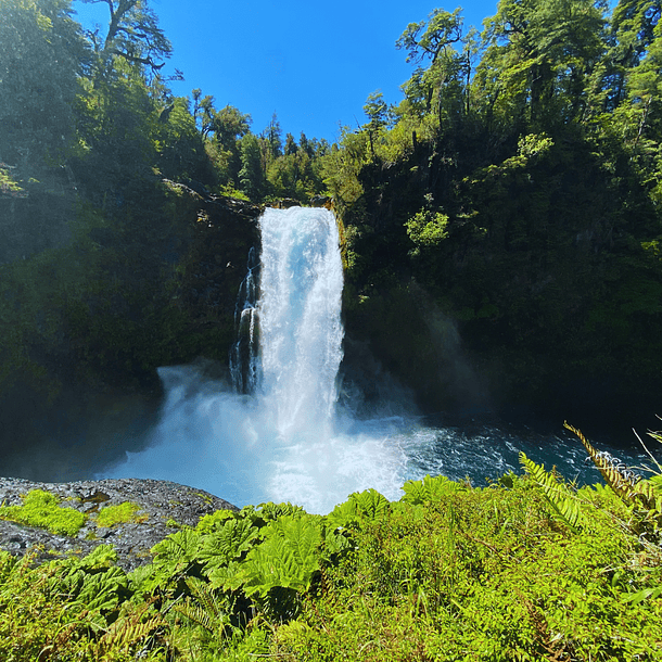 Acceso Portal Puma  2