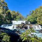 Acceso Portal la Leona 1