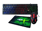 Kit Gamer 3 en 1 Teclado Mouse y Pad ReptileX Led - Miniatura 2