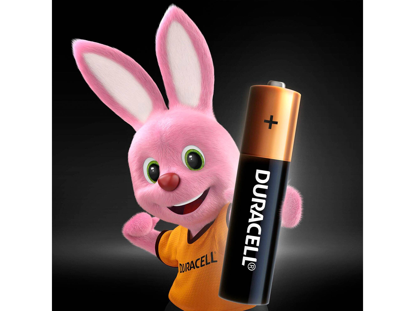 Pack 6 Pilas Duracell AAA Alcalina Tira 2