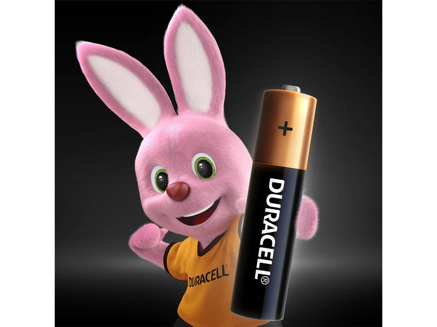 Pack 8 Pilas Duracell AA Alcalina 2