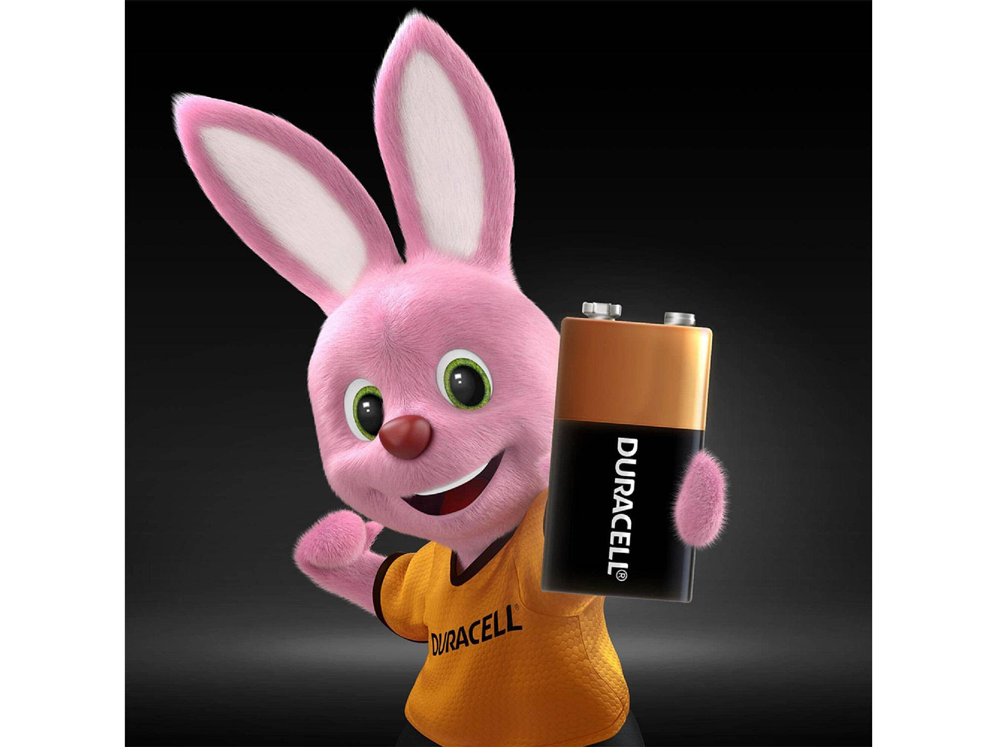 Bateria 9v Duracell Alcalina 2