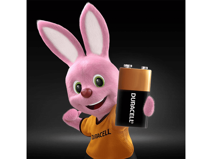 Bateria 9v Duracell Alcalina 2