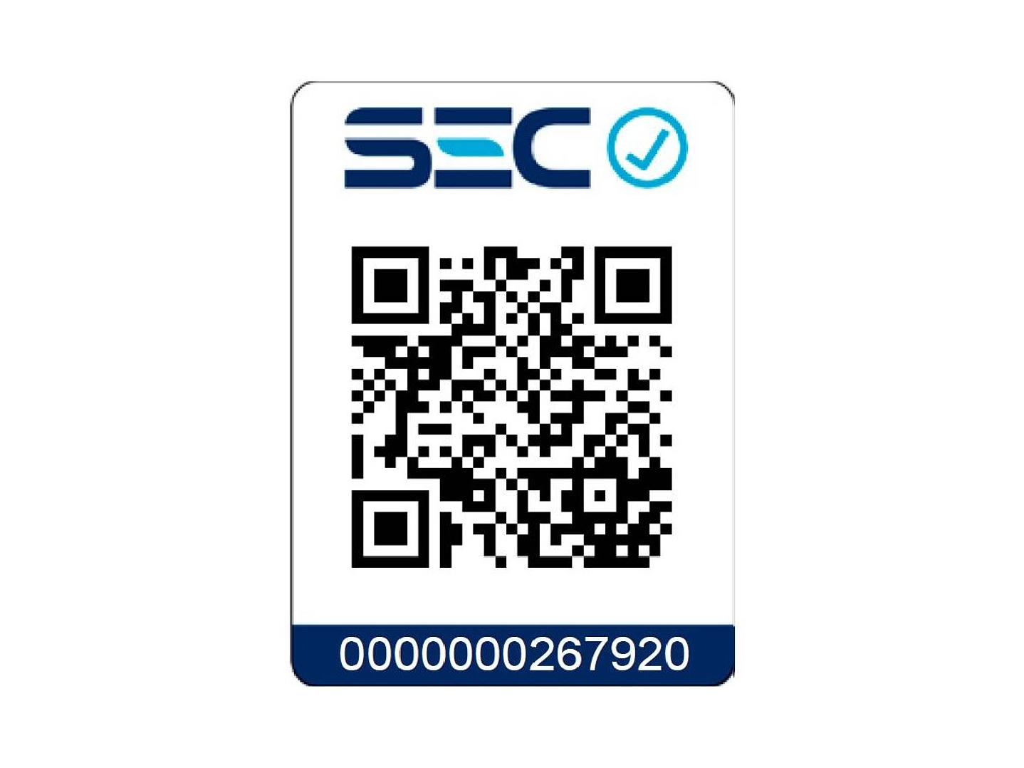 Plancha Ropa a Vapor Black+Decker IRBD204 5